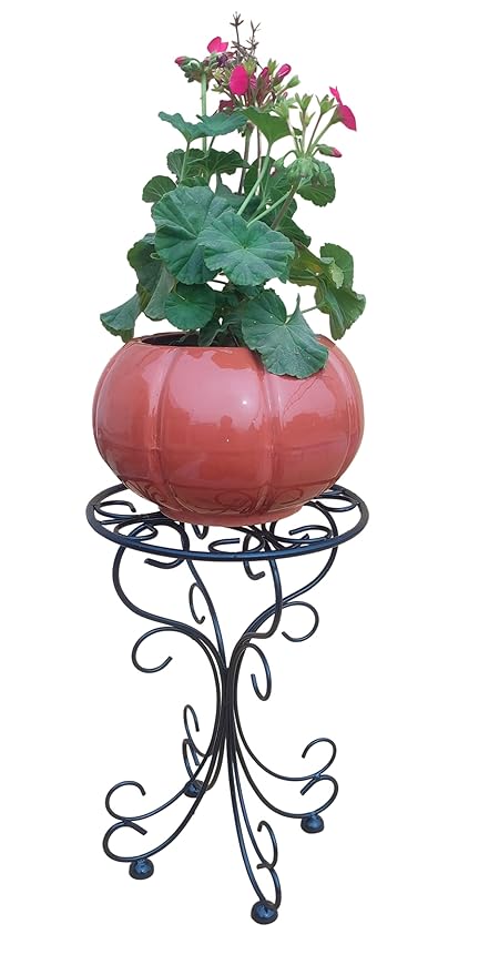 EcoNucleaX Plant Stand